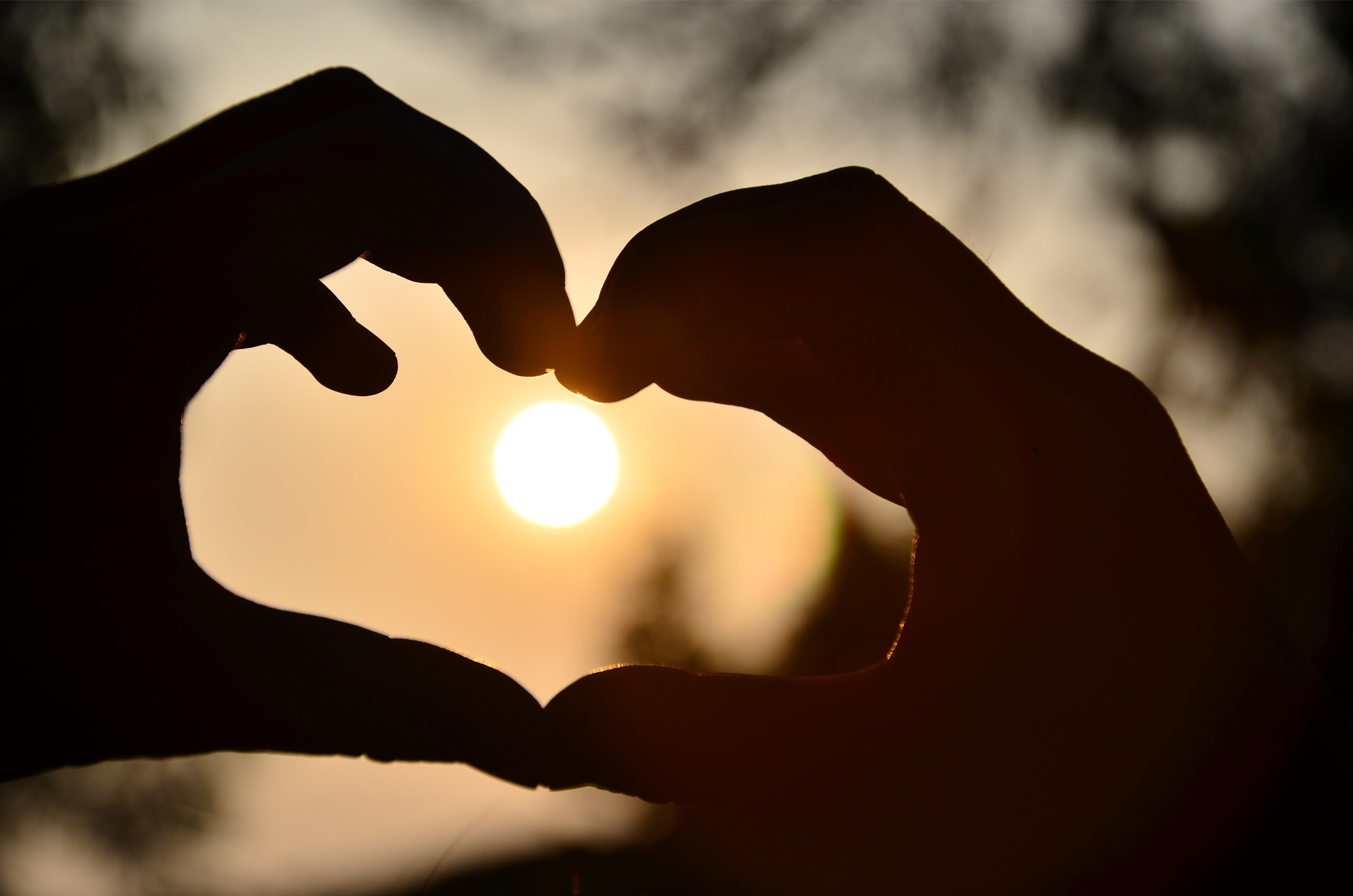 乐鱼智能晾衣机 乐鱼智能晾衣机